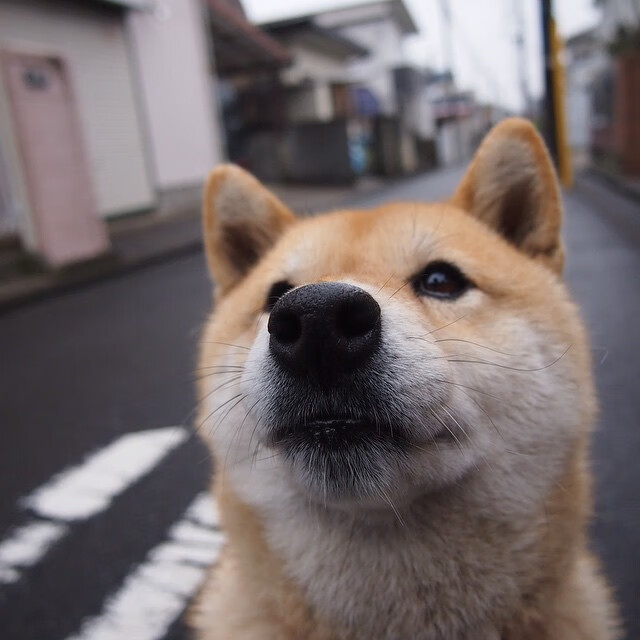 《《守望先锋》迎来重大平衡调整，新英雄“未来之光”亮相》，守望先锋2022