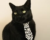 《顶级战队的背后：运营、训练全景揭秘》，顶级战队英文怎么写