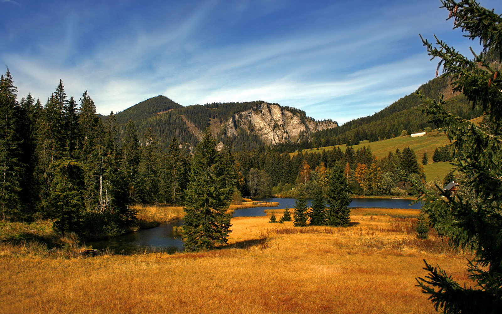 开云-中国足球产业协会成立，推动行业规范化管理，中国足球产业协会成立,推动行业规范化管理