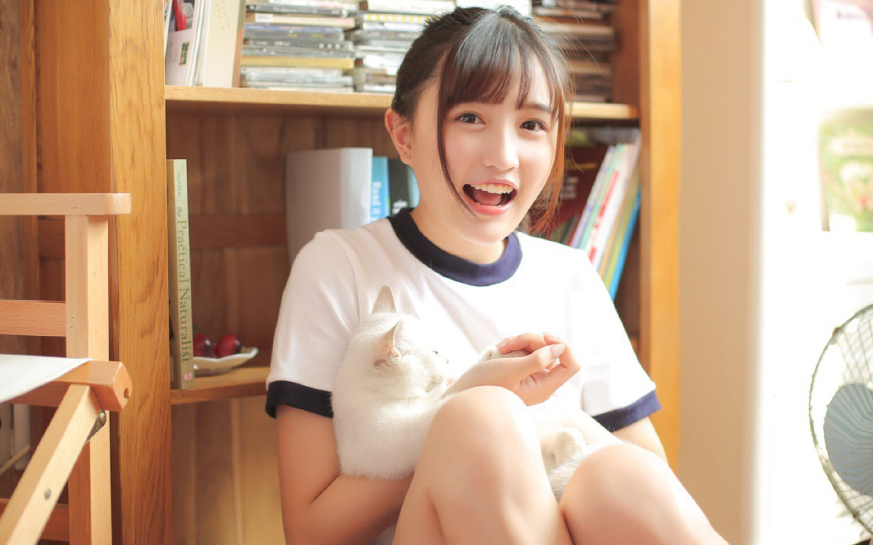 体育科技公司助推中国篮球智能化管理体系建设,篮球体智能课程介绍